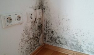 Soluciones para humedades en viviendas y obras en Mallorca: manchas de humedad en pared con pintura deteriorada.
